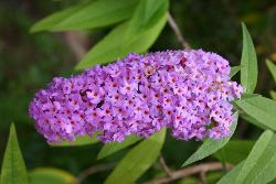 Image: Trevor James © Trevor James 